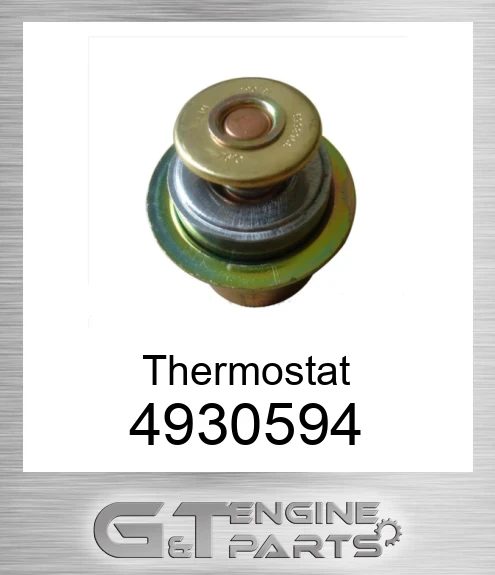 4930594 Thermostat