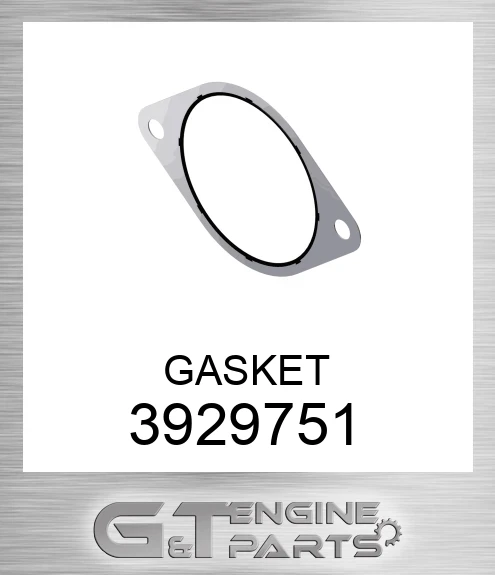 3929751 GASKET