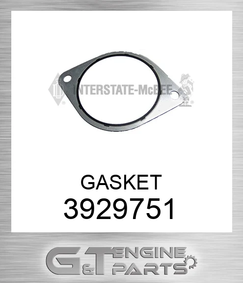 3929751 GASKET
