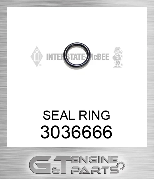 3036666 SEAL RING