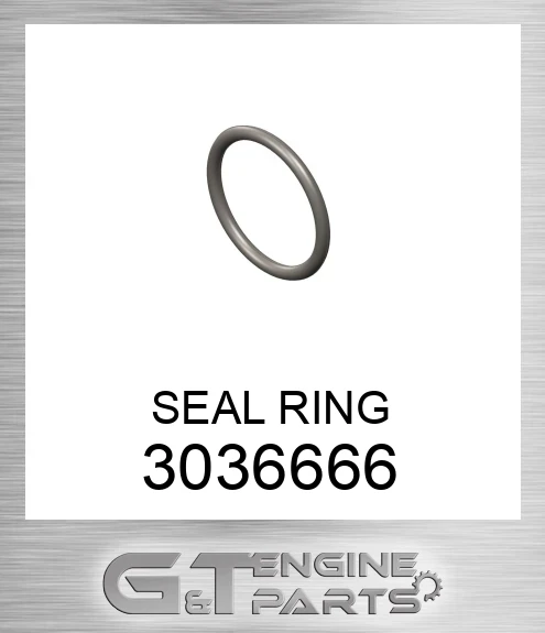3036666 SEAL RING