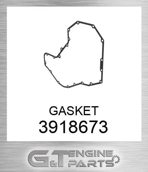3918673 GASKET