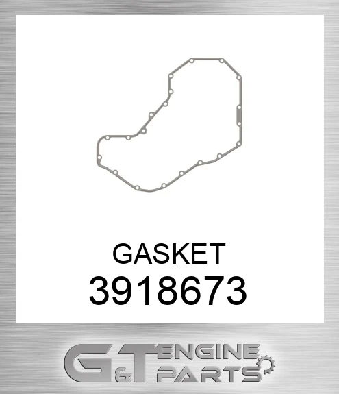 3918673 GASKET