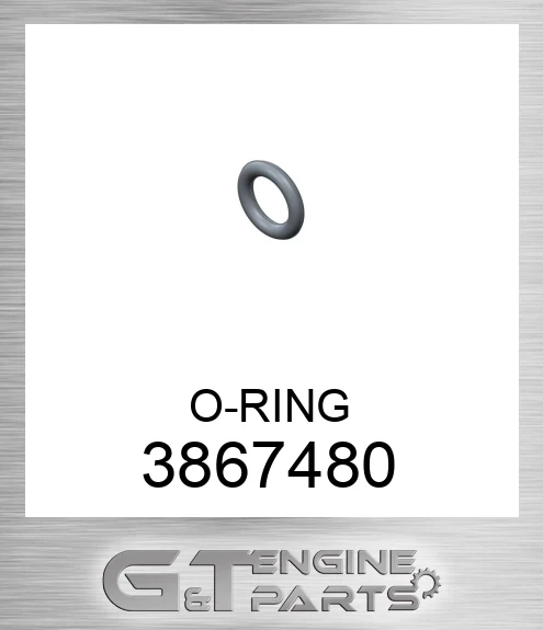 3867480 O-RING