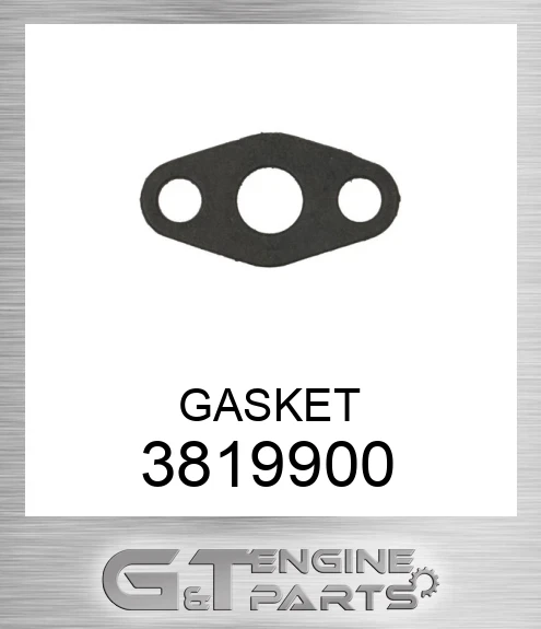 3819900 GASKET