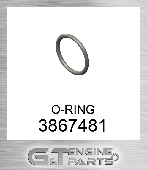 3867481 O-RING