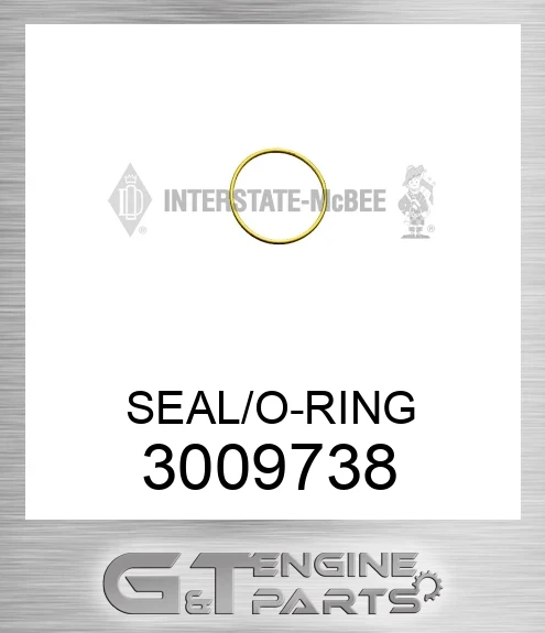 3009738 SEAL/O-RING