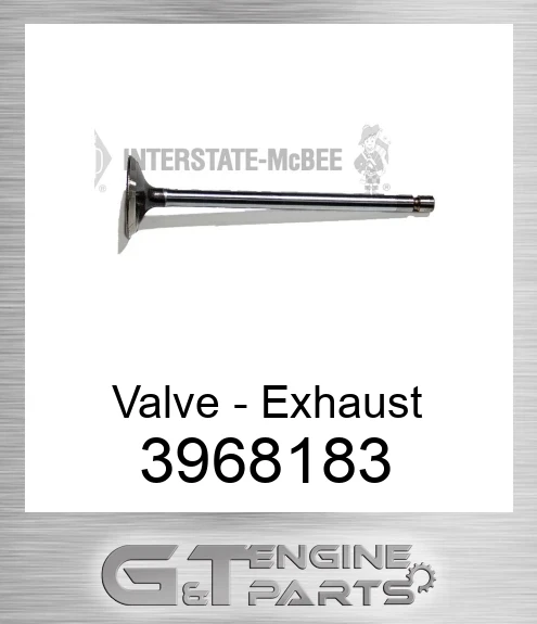 3968183 Valve - Exhaust