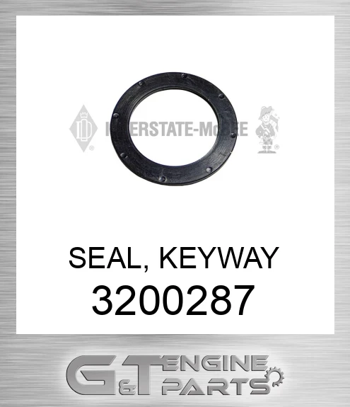 3200287 SEAL, KEYWAY