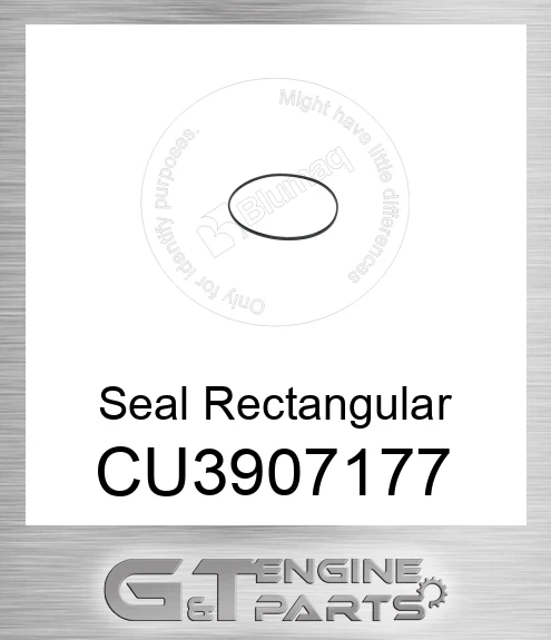 CU3907177 Seal Rectangular