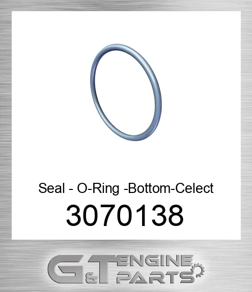 3070138 Seal - O-Ring -Bottom-Celect