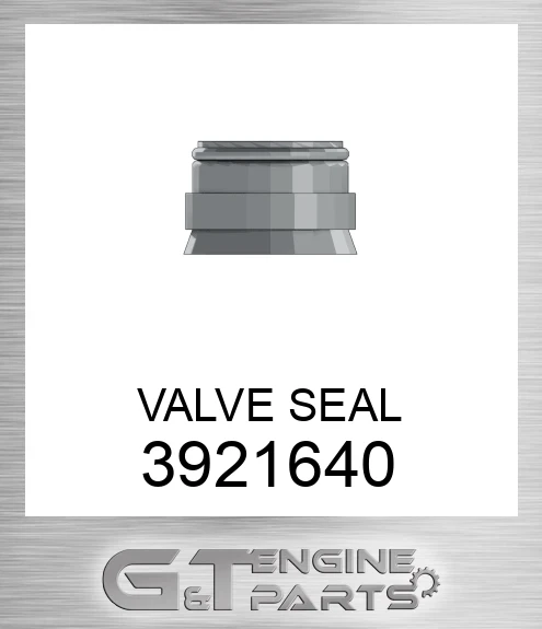 3921640 VALVE SEAL