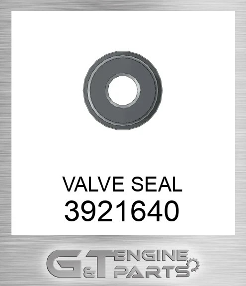 3921640 VALVE SEAL