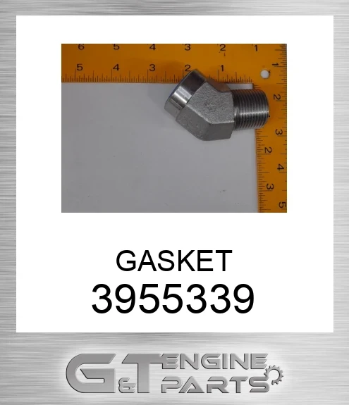 3955339 GASKET