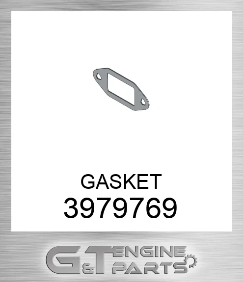 3979769 GASKET