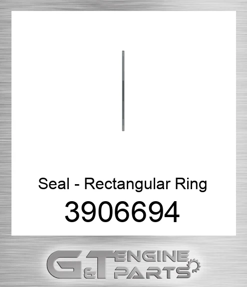 3906694 Seal - Rectangular Ring