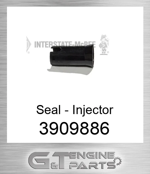 3909886 Seal - Injector