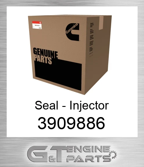 3909886 Seal - Injector