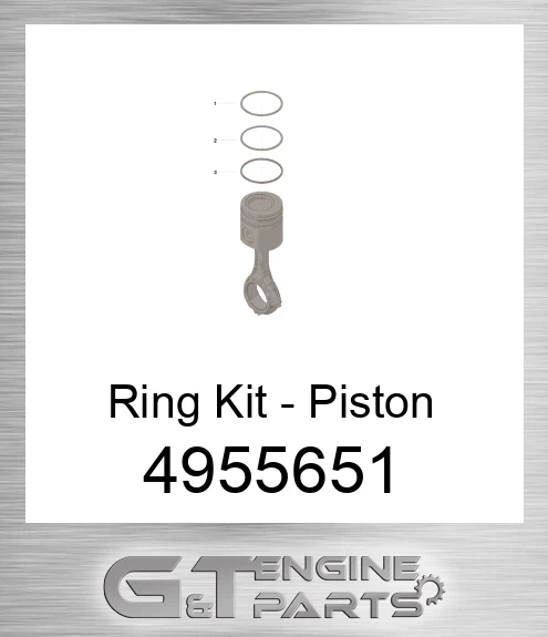 4955651 Ring Kit - Piston