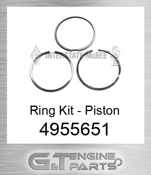 4955651 Ring Kit - Piston