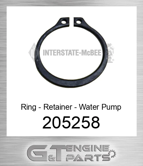 205258 Ring - Retainer - Water Pump