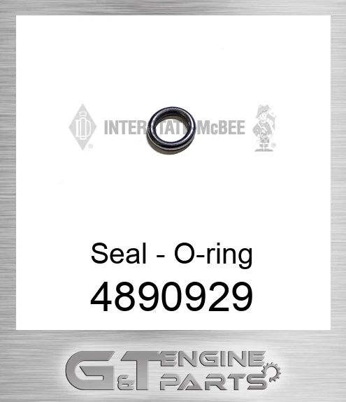 4890929 Seal - O-ring