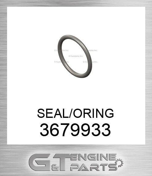 3679933 SEAL/ORING