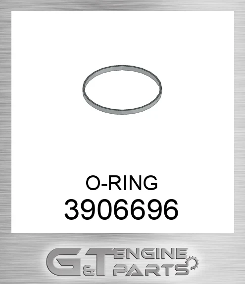 3906696 O-RING