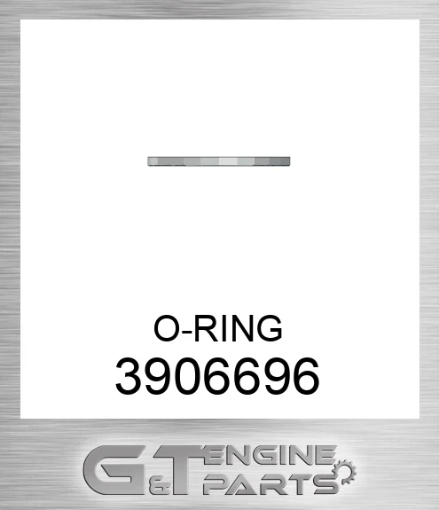 3906696 O-RING