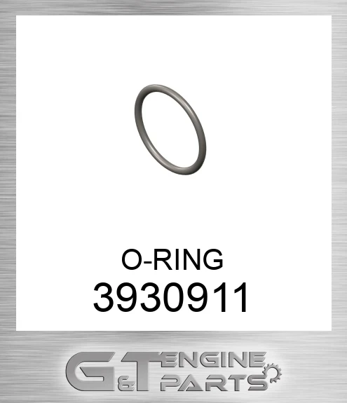 3930911 O-RING