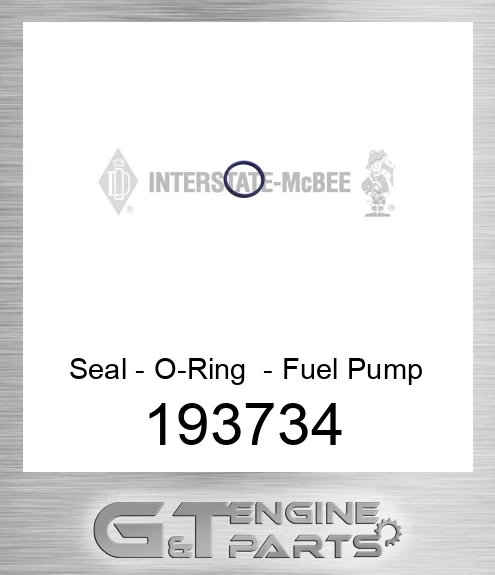 193734 Seal - O-Ring - Fuel Pump