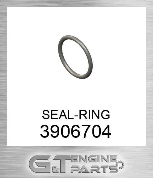 3906704 SEAL-RING