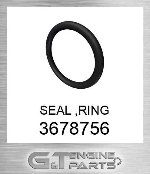 3678756 SEAL ,RING