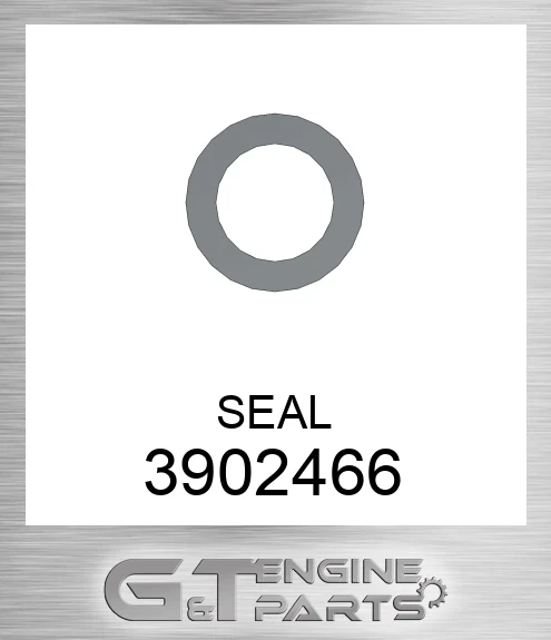 3902466 SEAL