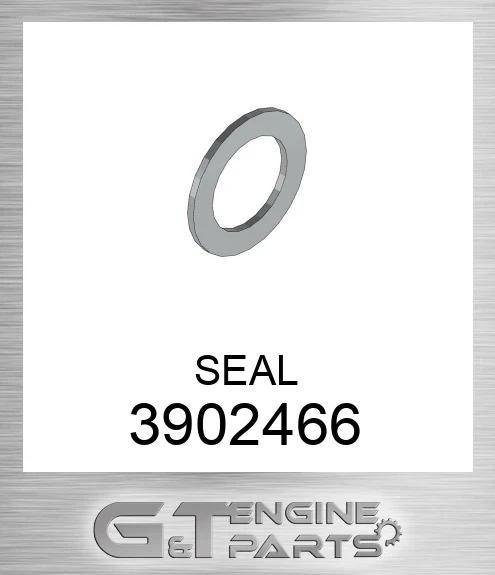 3902466 SEAL