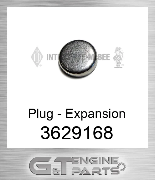 3629168 Plug - Expansion