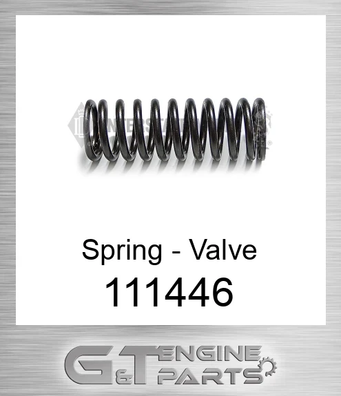 111446 Spring - Valve