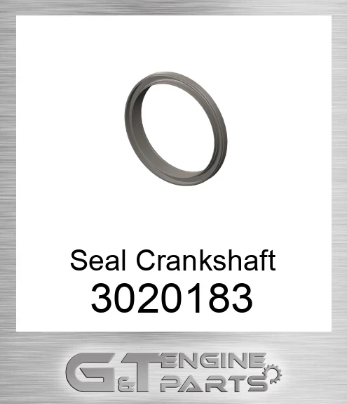 3020183 Seal Crankshaft