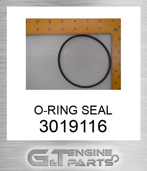 3019116 O-RING SEAL