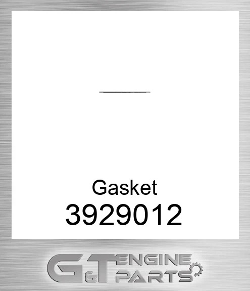 3929012 Gasket