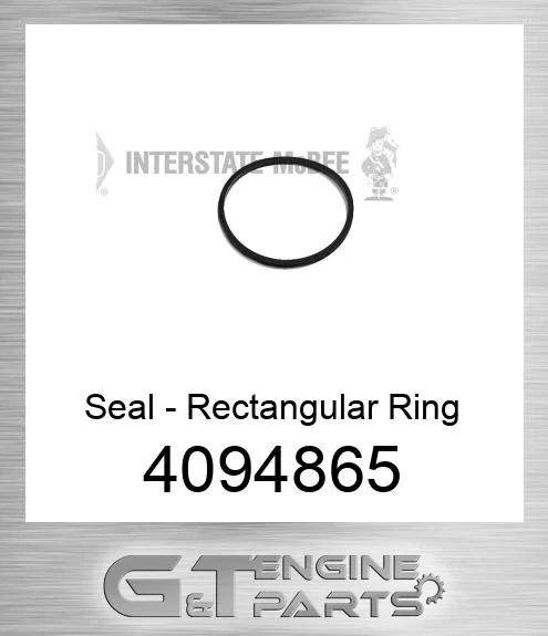 4094865 Seal - Rectangular Ring