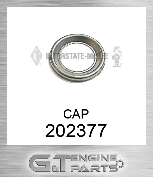 202377 CAP