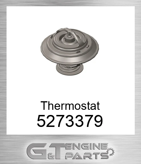 5273379 Thermostat