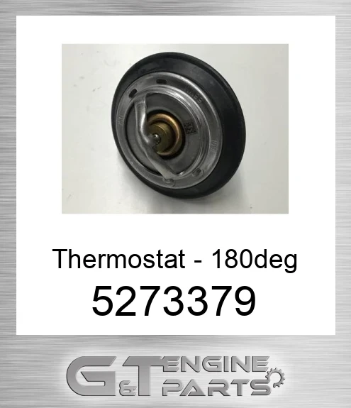 5273379 Thermostat - 180deg