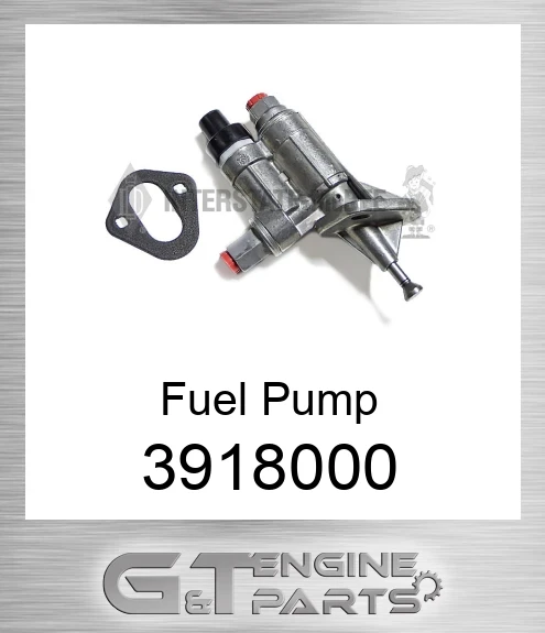 3918000 Fuel Pump - Transfer