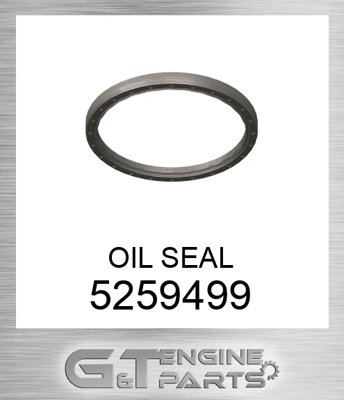 5259499 OIL SEAL
