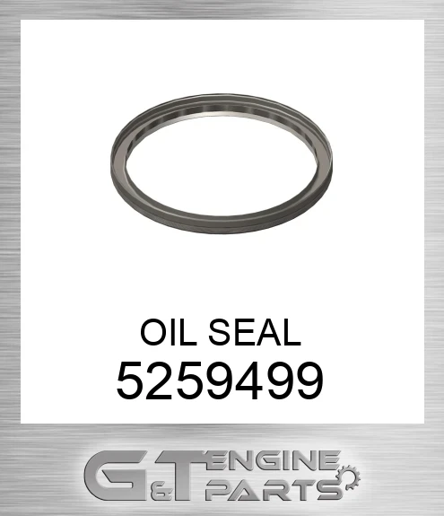 5259499 OIL SEAL