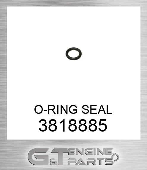 3818885 O-RING SEAL