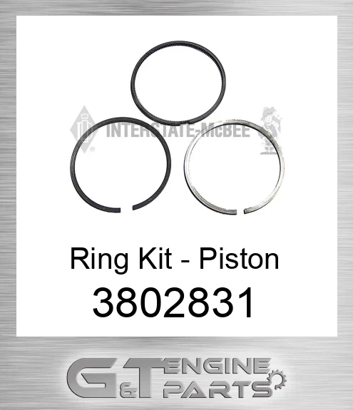 3802831 Ring Kit - Piston
