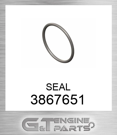 3867651 SEAL